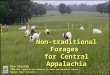 Non-traditional Forages for Central Appalachia Kim Cassida USDA-ARS, Appalachian Farming Systems and Research Center Beaver, West Virginia