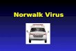 Norwalk Virus Agenda Norwalk History How Does Norwalk Virus Work How is the Virus transmitted Signs and Symptoms Norwalk Statistics Therapy / Treatment