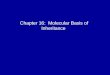Chapter 16: Molecular Basis of Inheritance. DNA is the genetic material Early in the 20th century, the identification of the molecules of inheritance