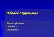 Model Organisms Honors Genetics Chapter 2 Organism 1