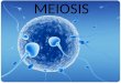 MEIOSIS. 2 Introduction Asexual reproduction: offspring are genetically identical involves: â€“ mitosis (in eukaryotes) â€“ binary fission (in prokaryotes)