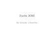 By: Brooke Lillywhite Ducks 3000. Planet Underground The climate my duck lives in is hot and dry
