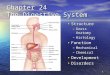 1 Chapter 24 The Digestive System Structure Structure –Gross Anatomy –Histology Function Function –Mechanical –Chemical Development Development Disorders