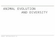 ANIMAL EVOLUTION AND DIVERSITY Copyright © 2009 Pearson Education, Inc