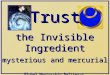 Trust the Invisible Ingredient mysterious and mercurial Global Mentorship Baltimore June 2012