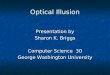 Optical Illusion Presentation by Sharon K. Briggs Computer Science 30 George Washington University