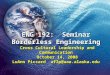 ENG 192: Seminar Borderless Engineering Cross Cultural Leadership and Communication October 14, 2008 LuAnn Piccard aflp@uaa.alaska.edu