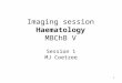 1 Imaging session Haematology MBChB V Session 1 MJ Coetzee