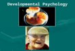 Developmental Psychology. Research Studies Cross Sectional Studies  Study comparing development between age groups over relatively short period Longitudinal