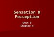 Sensation & Perception Unit 3 Chapter 4. Sensation Stimulation of sensory receptors and transmission of sensory info to the central nervous system (spinal