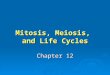 Mitosis, Meiosis, and Life Cycles Chapter 12. KEY TERMS DIPLOID (2N) DIPLOID (2N) The condition of having two sets of chromosomes per nucleus The condition