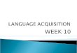 WEEK 10.  Why do we need to study the language of 2nd language learners?