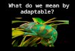 What do we mean by adaptable?. Why is adaptability important?