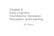 Dr. Pelaez Chapter 6 Early Cognitive Foundations: Sensation, Perception, and Learning