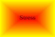 Stress. The body’s and mind’s reaction to everyday demands or threats. Real or imagined