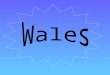 Wales is a fairly small country, covering an area of 21,000km 2