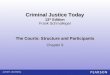The Courts: Structure and Participants Chapter 9 Frank Schmalleger Criminal Justice Today 13 th Edition
