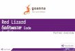 Red Lizard Software Creators of Code Confidence