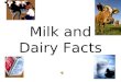 Milk and Dairy Facts Are you getting enough? Approximately how much milk should the following people drink each day: Adults______3______ Teenagers____3-4_____