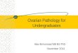 Ovarian Pathology for Undergraduates Max Brinsmead MB BS PhD November 2014