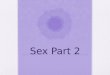 Sex Part 2. The Female Side The _________________produces female sex hormones and stores female reproductive cells. Located pretty much entirely__________in