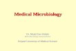 Medical Microbiology Dr. Majid Zare Bidaki (PhD in Microbiology, Assistant professor) Birjand University of Medical Science
