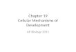 Chapter 19 Cellular Mechanisms of Development AP Biology 2011