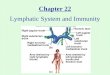 Chapter 22 Lymphatic System and Immunity. THE LYMPHATIC SYSTEM AND IMMUNITY A human body recognizes anything other than its own as an invader. When these