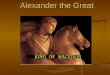 Alexander the Great. Alexander and Bucephalus Bucephalus (“Oxhead”)