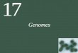 17 Genomes. Figure 17.7 Synthetic Cells 17 Genomes 17.1 How Are Genomes Sequenced? 17.2 What Have We Learned from Sequencing Prokaryotic Genomes? 17.3