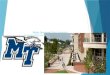 Middle Tennessee State University Application/Scholarship Info for incoming freshman