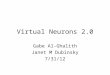 Virtual Neurons 2.0 Gabe Al-Ghalith Janet M Dubinsky 7/31/12