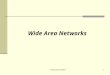 Networking BASICS1 Wide Area Networks. Networking BASICS2 Wide Area Network It connects computers and LANs over a larger geographical area. It crosses