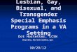 Lesbian, Gay, Bisexual, and Transgender Special Emphasis Programs in a VA Setting Presented by Dot Hostetter, LCSW Dorothy.Hostetter@va.gov10/29/12