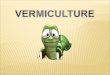 Understanding the Terminology 1.Vermiculture - the culture of worms 2.Vermicomposting - the use of worms for composting organic materials. 3.Vermicompost