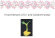 Recombinant DNA and Biotechnology. Recombinant DNA –Cleaving and Rejoining DNA –Getting New Genes into Cells –Identifying and Cloning Genes for Biotechnology