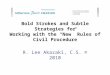 Bold Strokes and Subtle Strategies for Working with the “New” Rules of Civil Procedure R. Lee Akazaki, C.S. © 2010