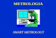 METROLOGIA SMART METROLOGY. Spectel’s Mission Improve Accuracy, physical understanding, and stability for metrology through software products Provide