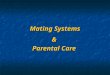 Mating Systems & Parental Care. Chapter 182 Mating Systems & Parental Care Chapter 18 Mating Systems Mating Systems Parental Care Parental Care Who Invests