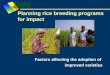 Planning rice breeding programs for impact Factors affecting the adoption of improved varieties