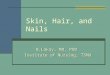 Skin, Hair, and Nails B.Lokay, MD, PhD Institute of Nursing, TSMU