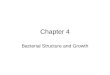 Chapter 4 Bacterial Structure and Growth. Bacteria Bacteria can be classified by their morphology (shape), stain reactions, atmospheric requirements,