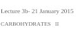 Lecture 3b- 21 January 2015 CARBOHYDRATES II. Overview of lecture 3b Carbohydrates -blood glucose homeostasis -functions of carbohydrates essential or