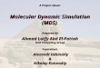 A Project about: Molecular Dynamic Simulation (MDS) Prepared By Ahmad Lotfy Abd El-Fattah Grid Computing Group Supervisors Alexandr Uzhinskiy & Nikolay
