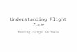 Understanding Flight Zone Moving Large Animals. What is the most effective way to move a large animal that doesn’t want to move?