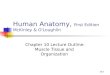 10-1 Human Anatomy, First Edition McKinley & O'Loughlin Chapter 10 Lecture Outline: Muscle Tissue and Organization