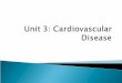 Cardiovascular disease refers to any abnormal condition involving dysfunction of the heart and blood vessels.  When blood vessels supplying the heart