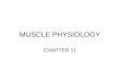 MUSCLE PHYSIOLOGY CHAPTER 11. I. MUSCLES 600+ 40-50% of body weight