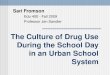 The Culture of Drug Use During the School Day in an Urban School System Sari Fromson Edu 400 - Fall 2009 Professor Jen Sandler