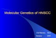 Molecular Genetics of HNSCC Tal Marom, M.D. January 2005